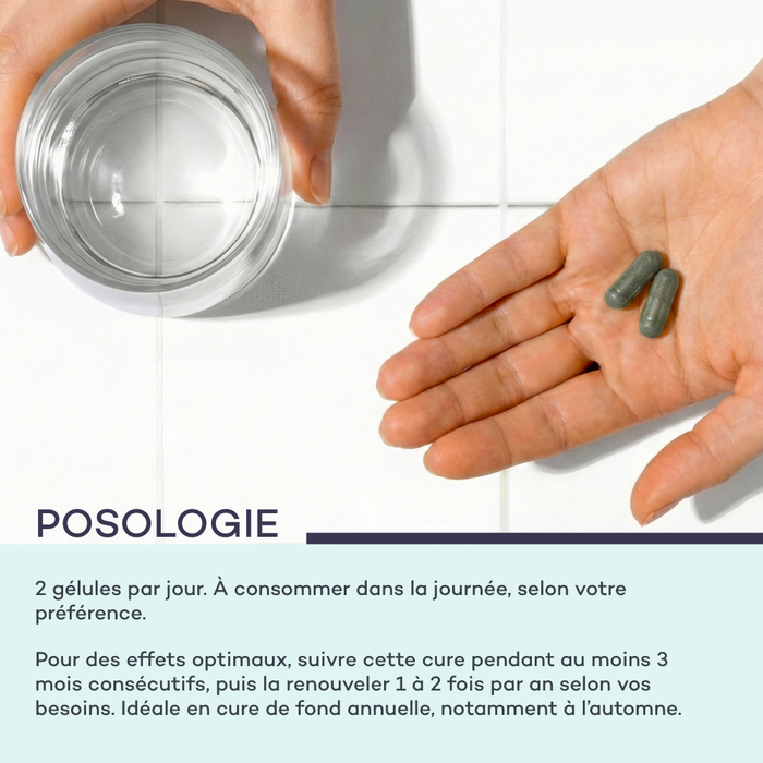 Complesso Idra-Capillare