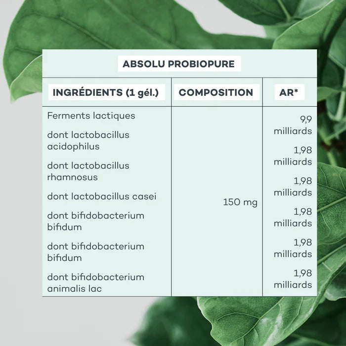 Programme Energie-Profonde - Etui Multilingue