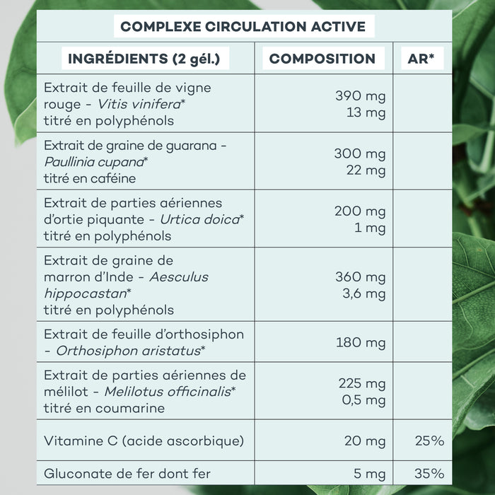 Action-Capitons - Custodia Multilingue