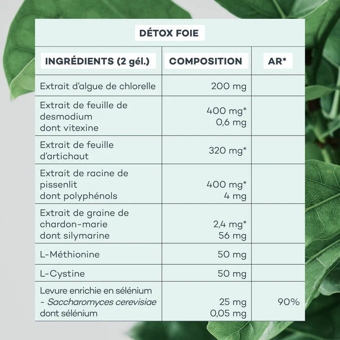 Programme Energie-Profonde - Etui Multilingue