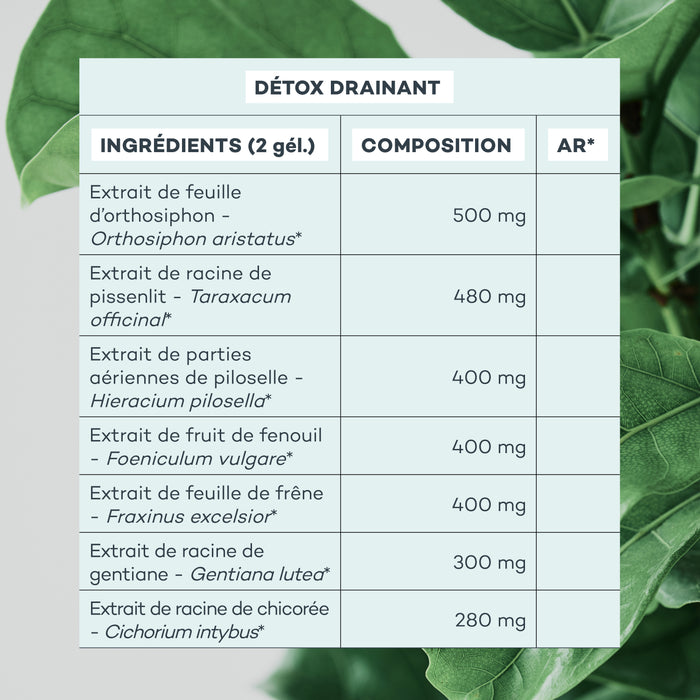 Action-Capitons - Custodia Multilingue