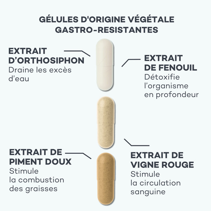 Action-Capitons - Custodia Multilingue