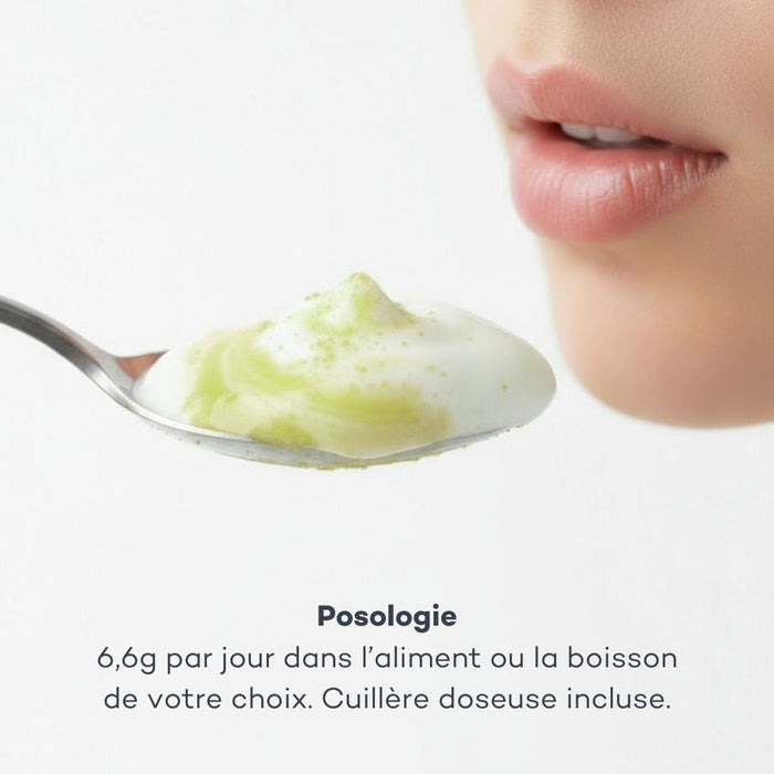 Pro-Collagène Pelle Nuova Matcha