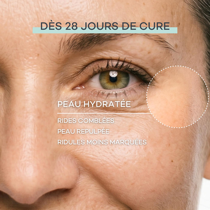 Routine Nutrition-Assoluta
