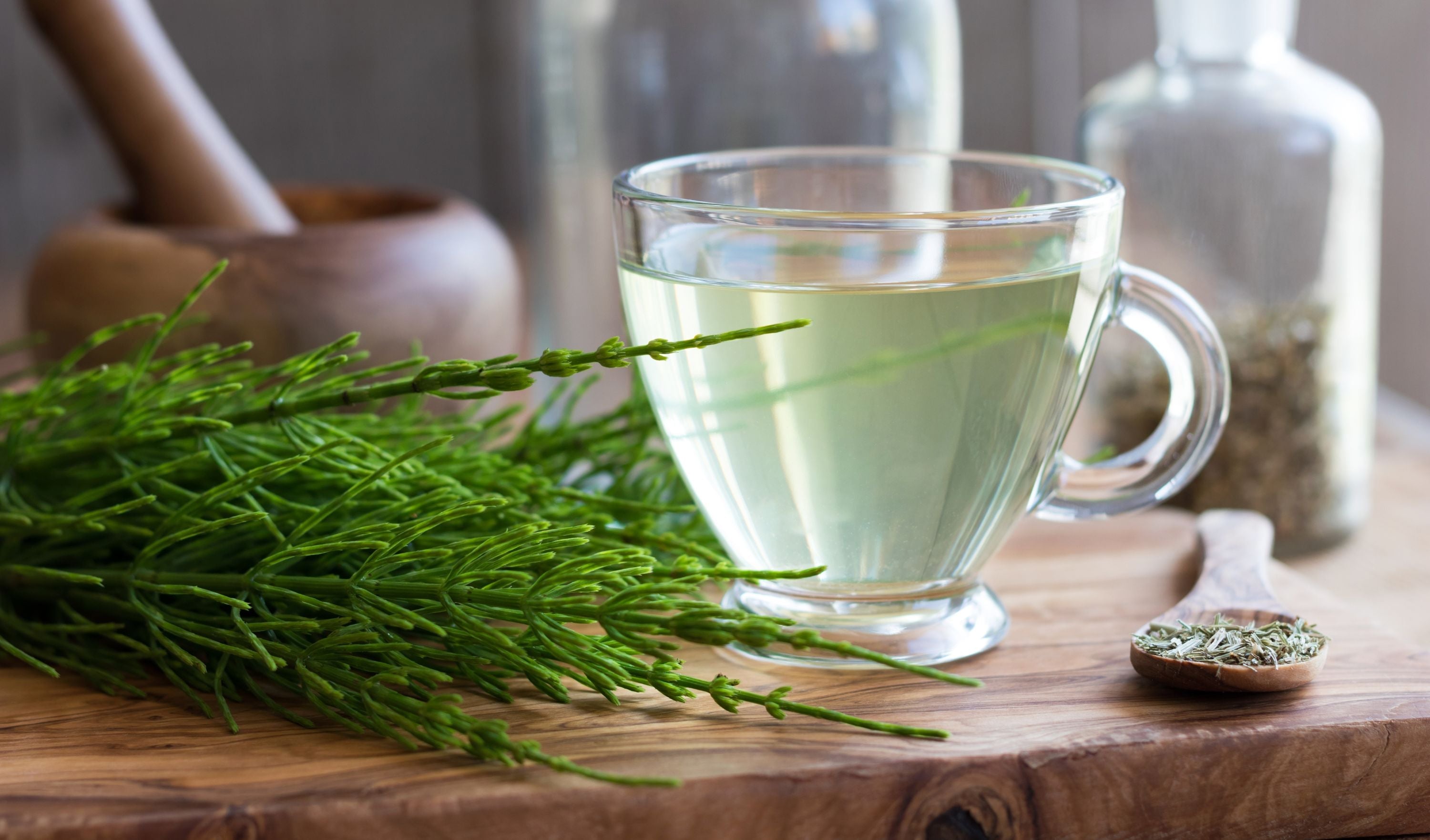 plantes detoxifiantes