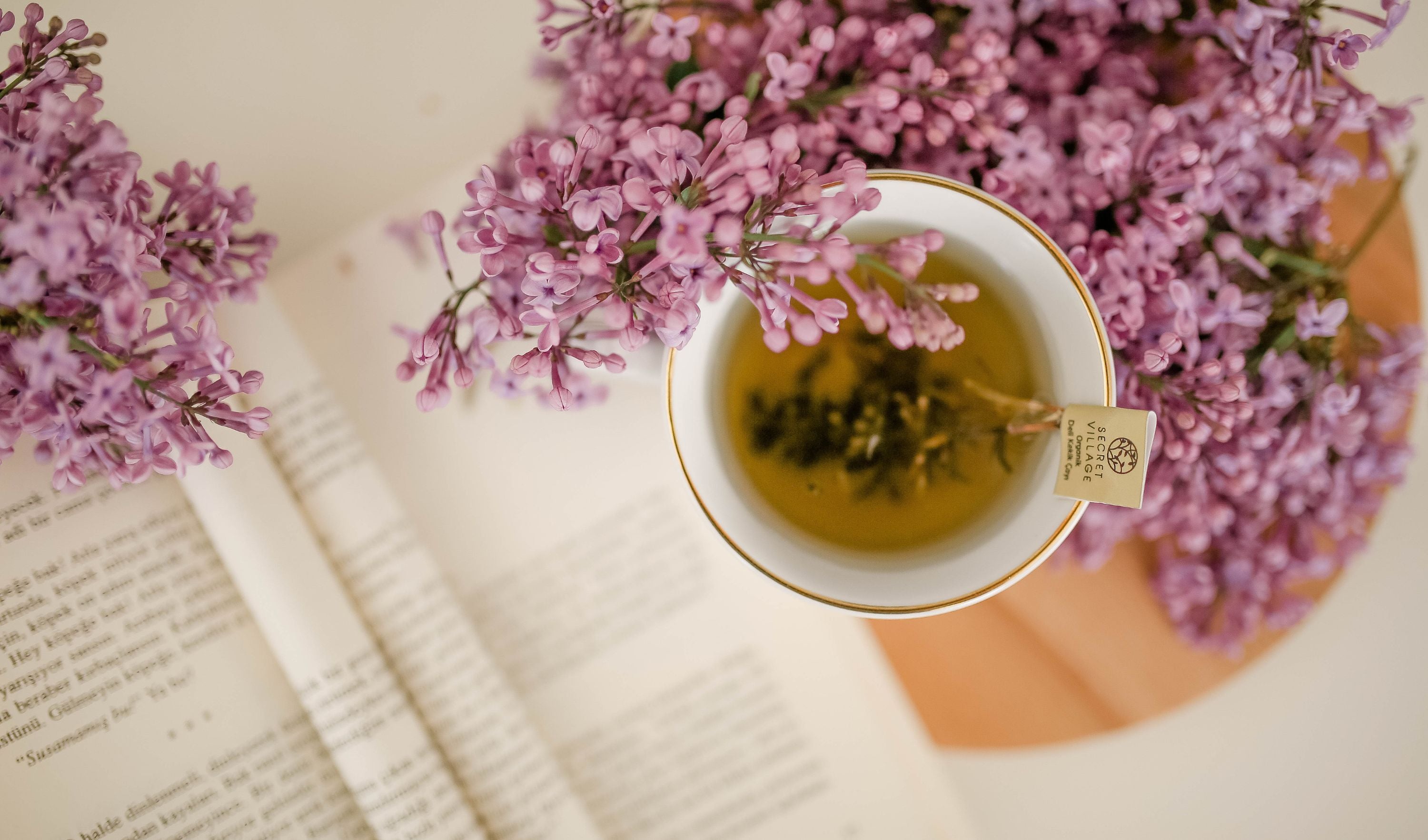 plantes pour la relaxation
