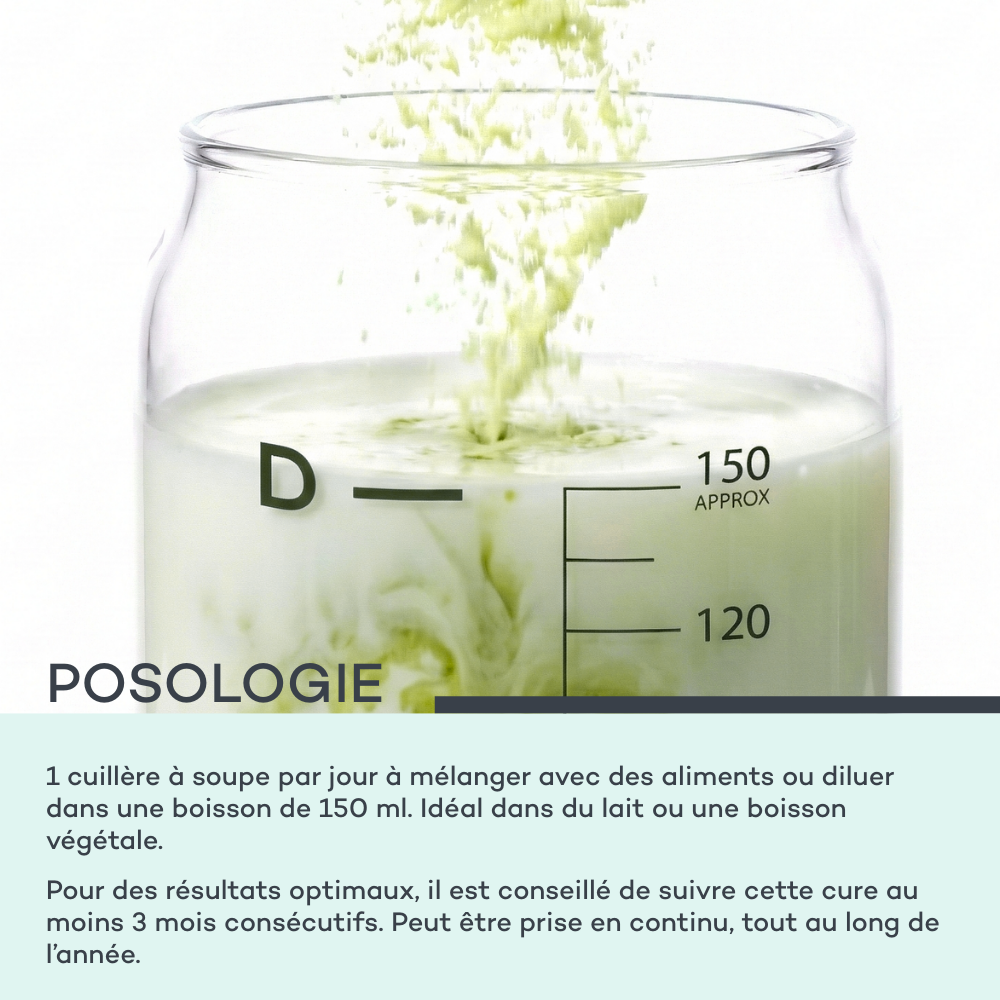 Bevanda Pelle Nuova - Matcha