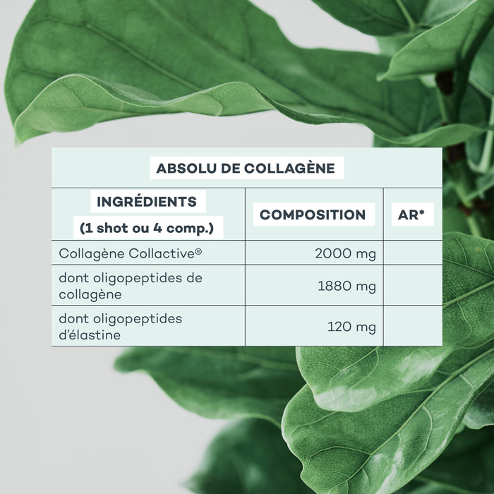 Assoluto di collagene