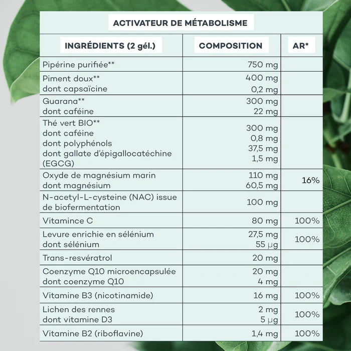 Routine Energia Profonda