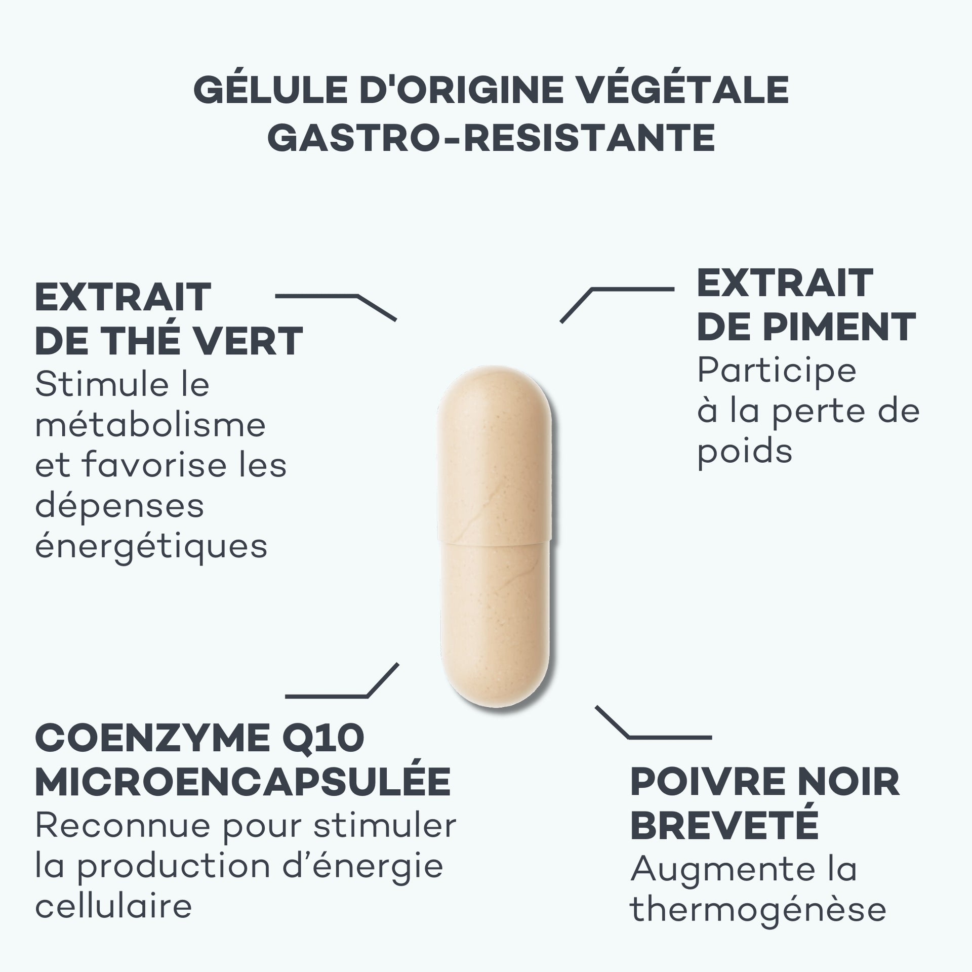 Attivatore del Metabolismo