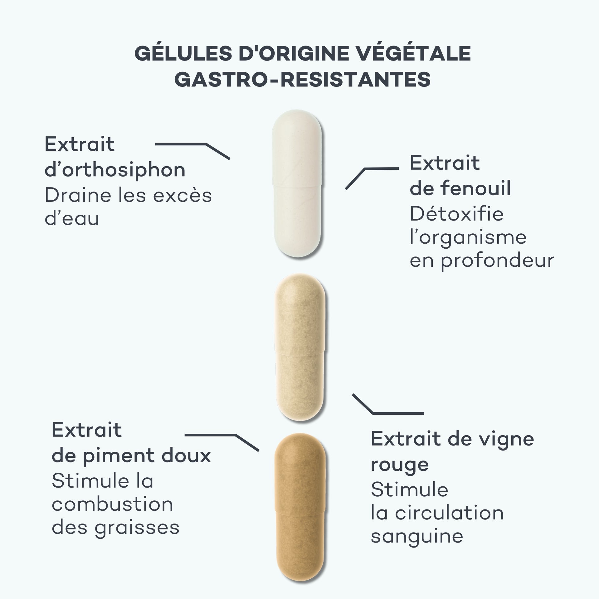 anti cellulite efficace