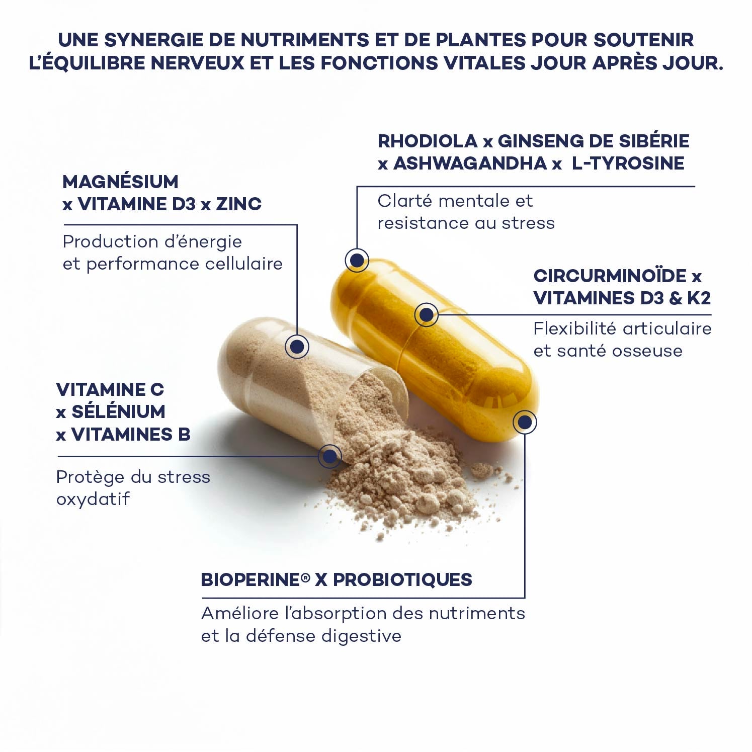 Routine Boost Mattutino