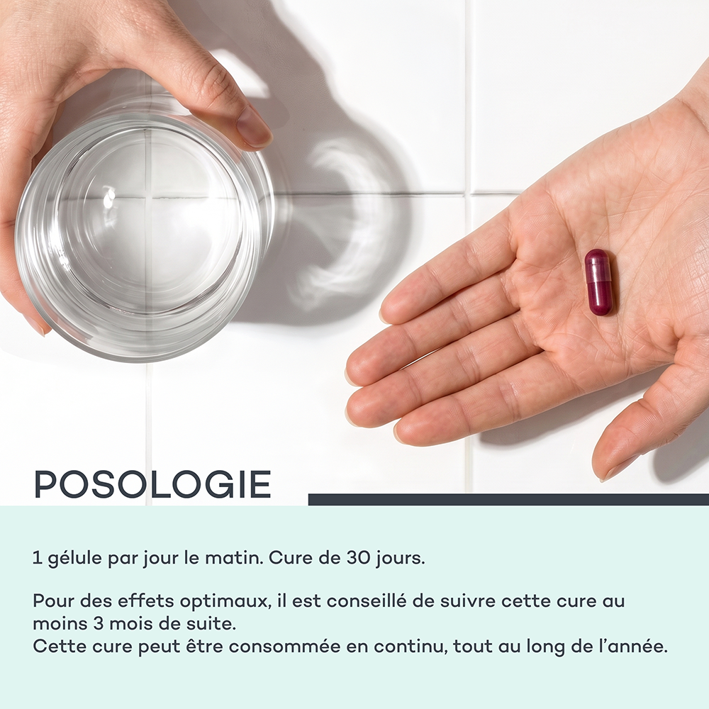 Magnesio