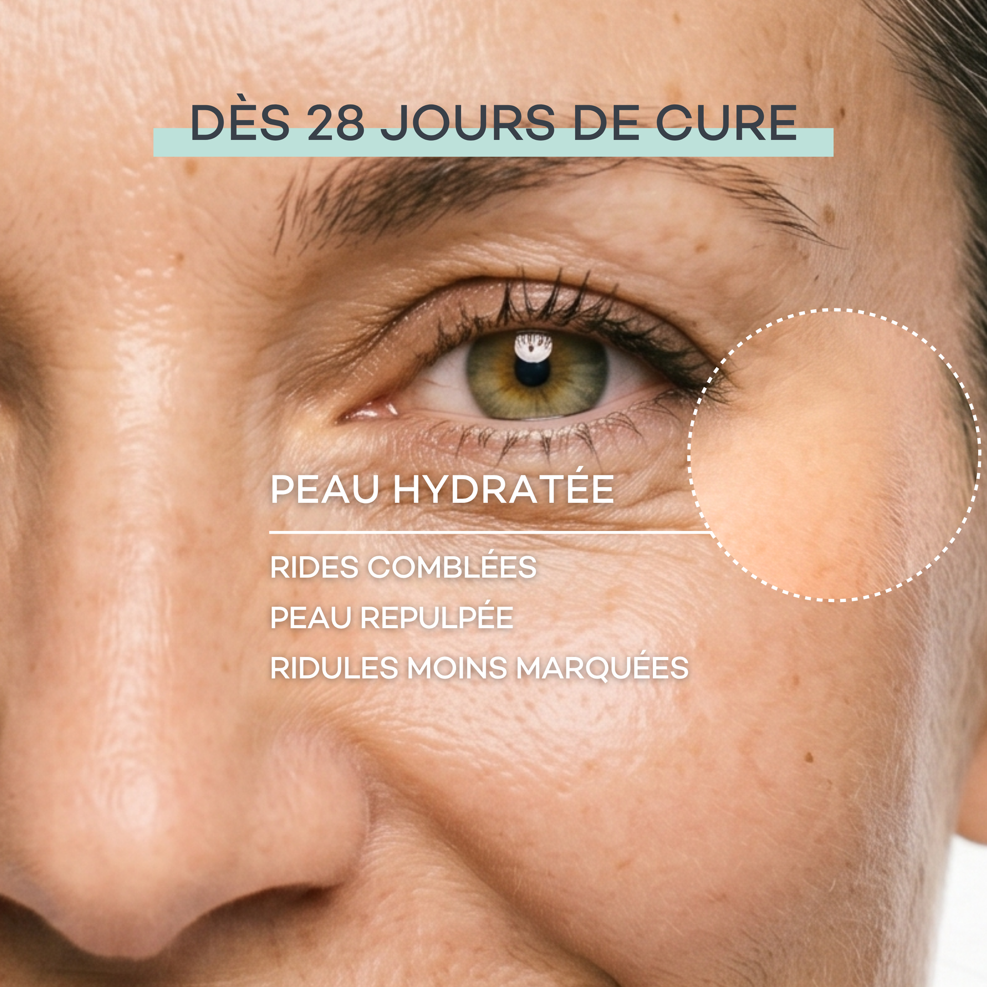 Routine Nutrition-Assoluta