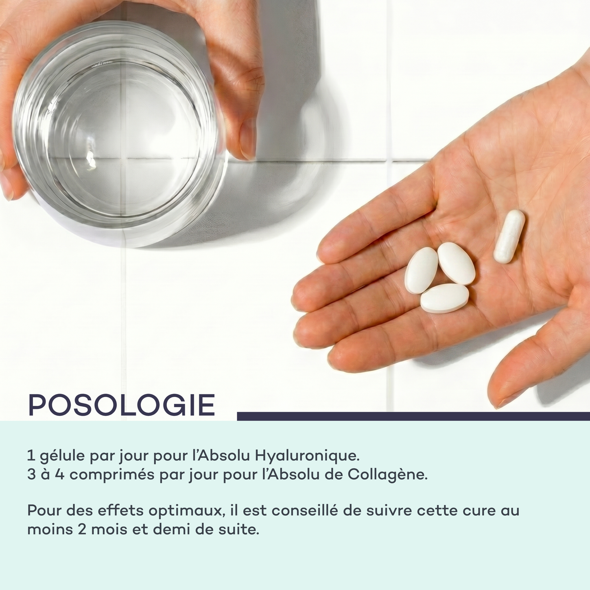 Routine Nutrition-Assoluta