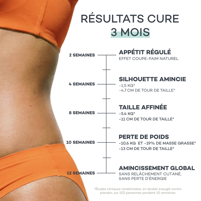 Bastoncini Pancia Piatta - Mango