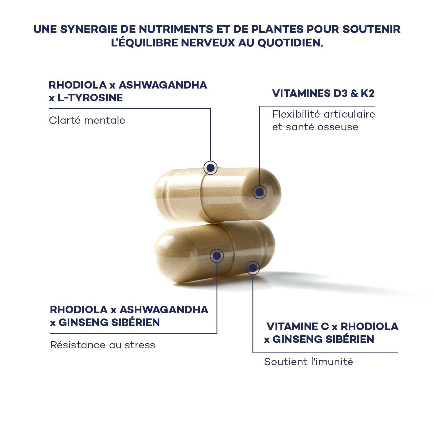 Routine Boost Mattutino