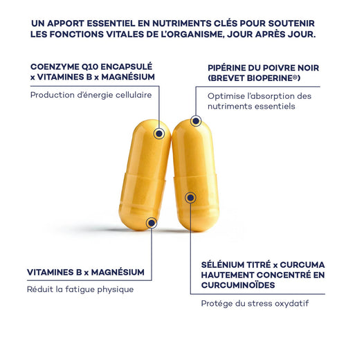 Potenziamento Cellulare