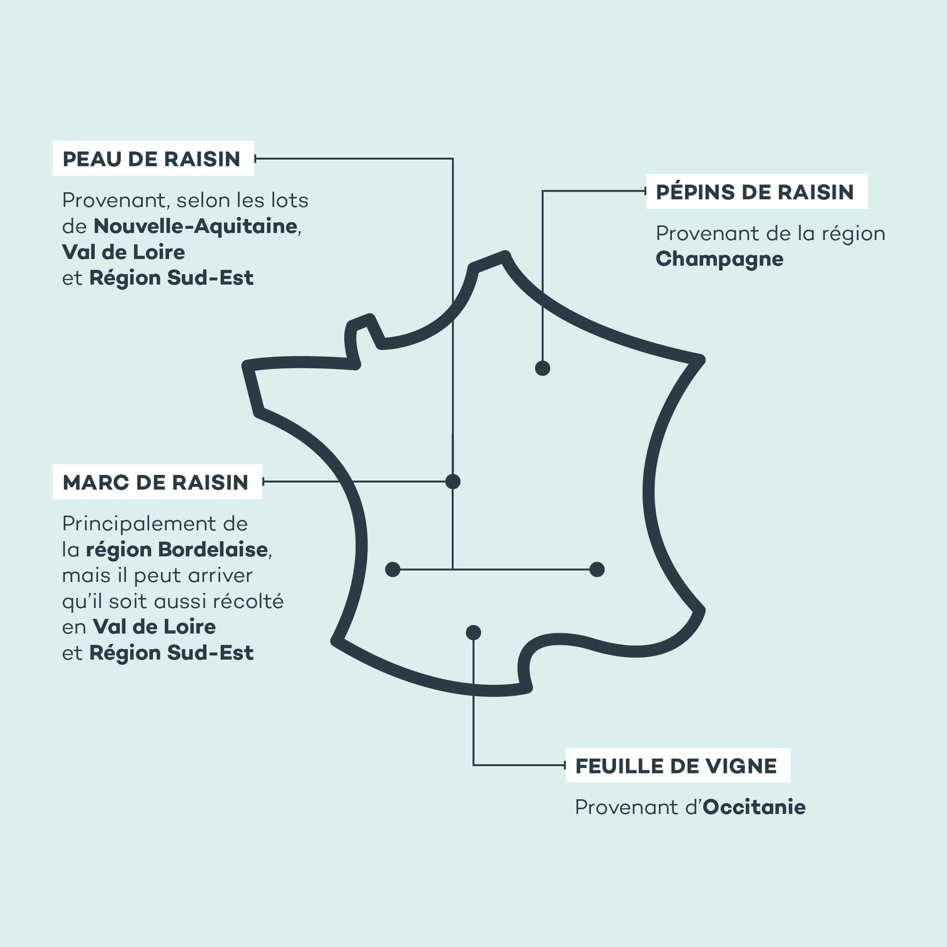 Absolu de Raisin